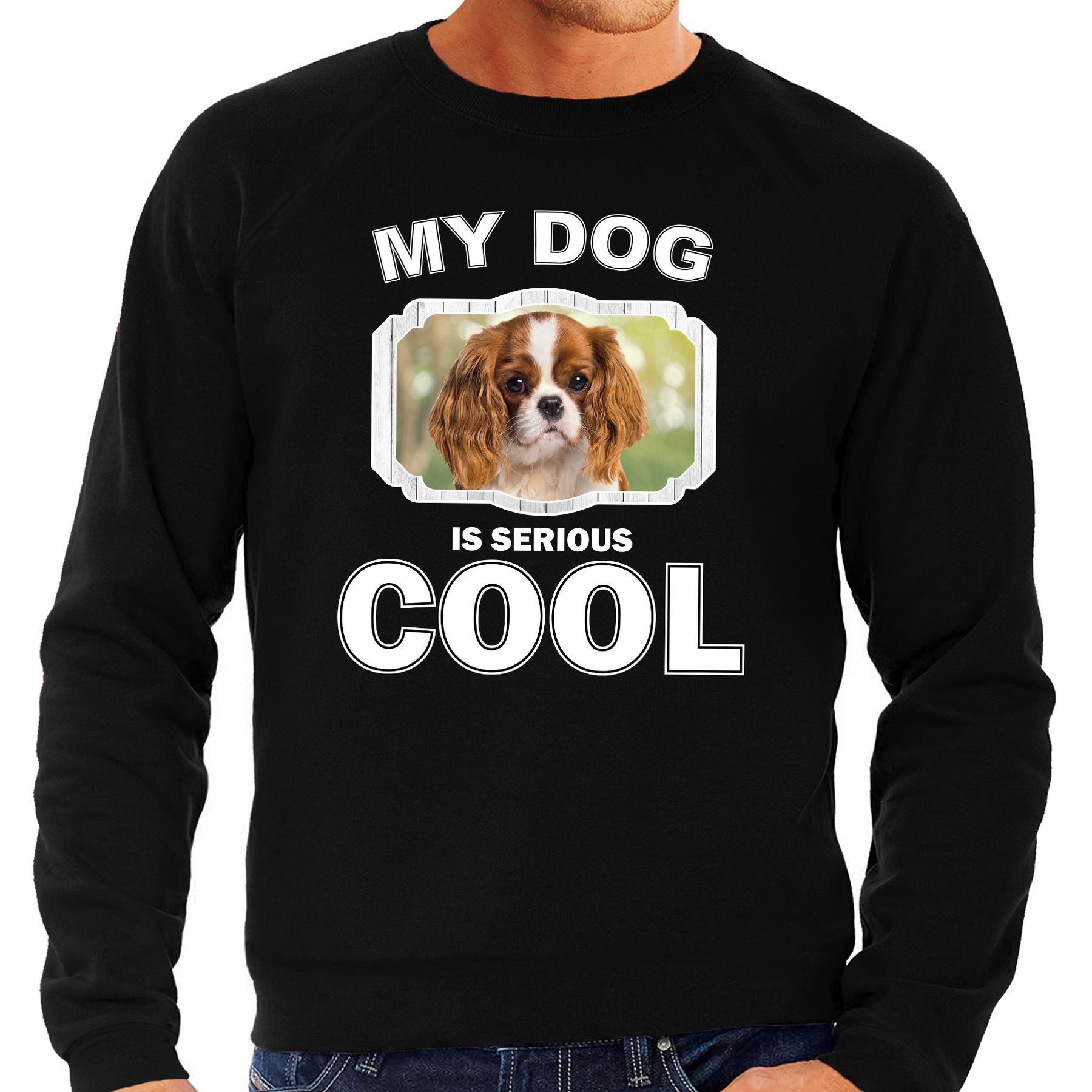 Honden liefhebber trui-sweater Charles spaniel my dog is serious cool zwart voor heren