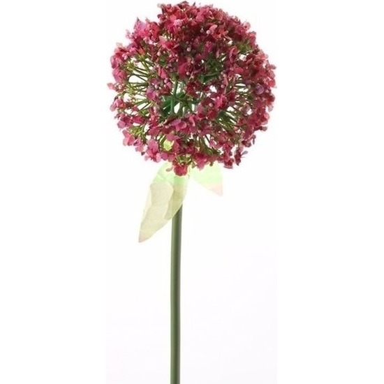 Kunst Sierui-Allium steelbloem rose-rood 70 cm