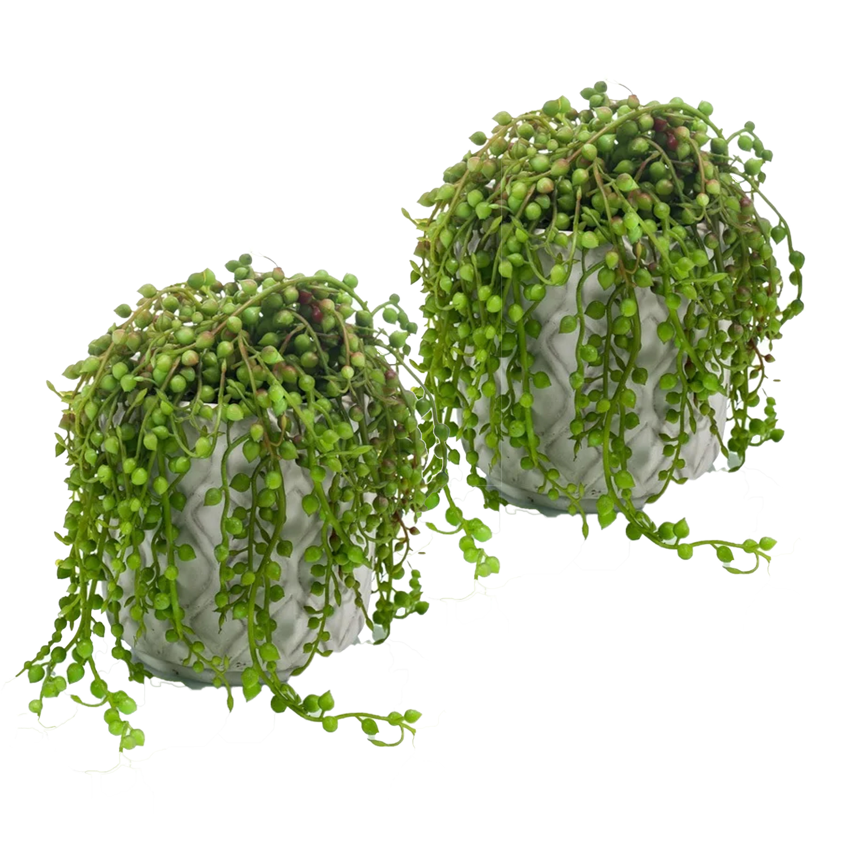 Kunstplant Senecio-erwtenplant 2x groen in pot 27 cm hangplant