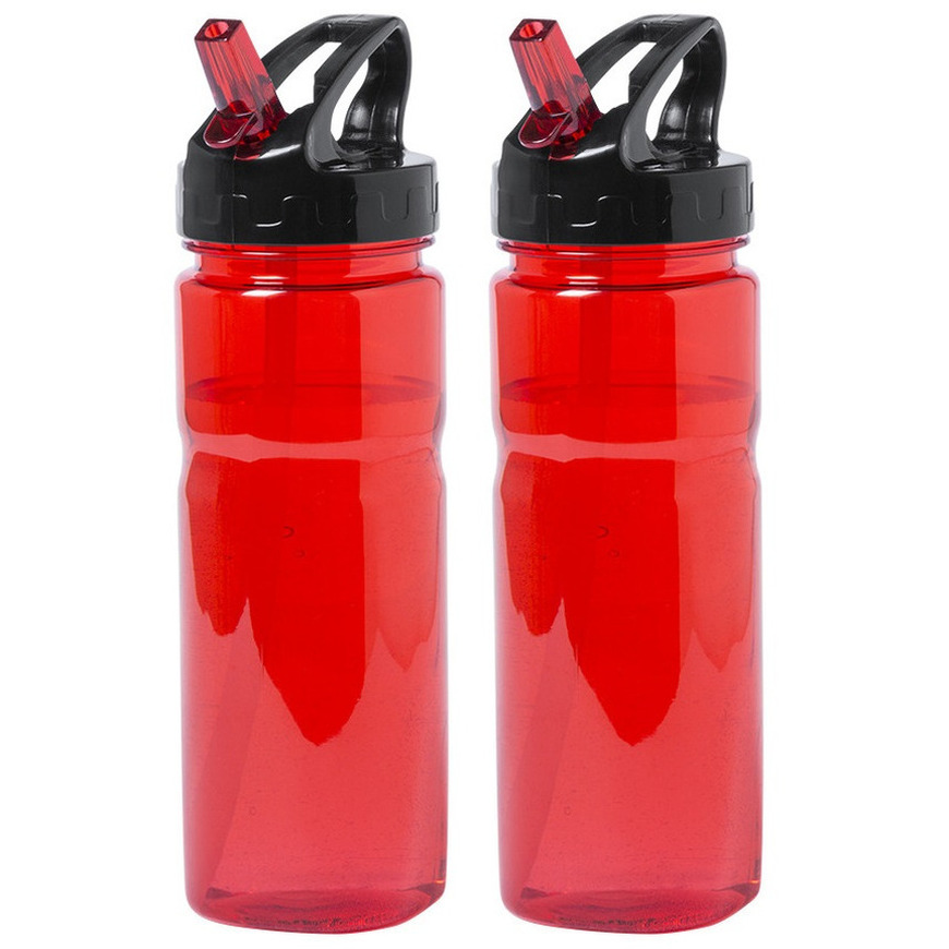 Kunststof waterfles-drinkfles-sportfles 2x rood met drinktuit 650 ml