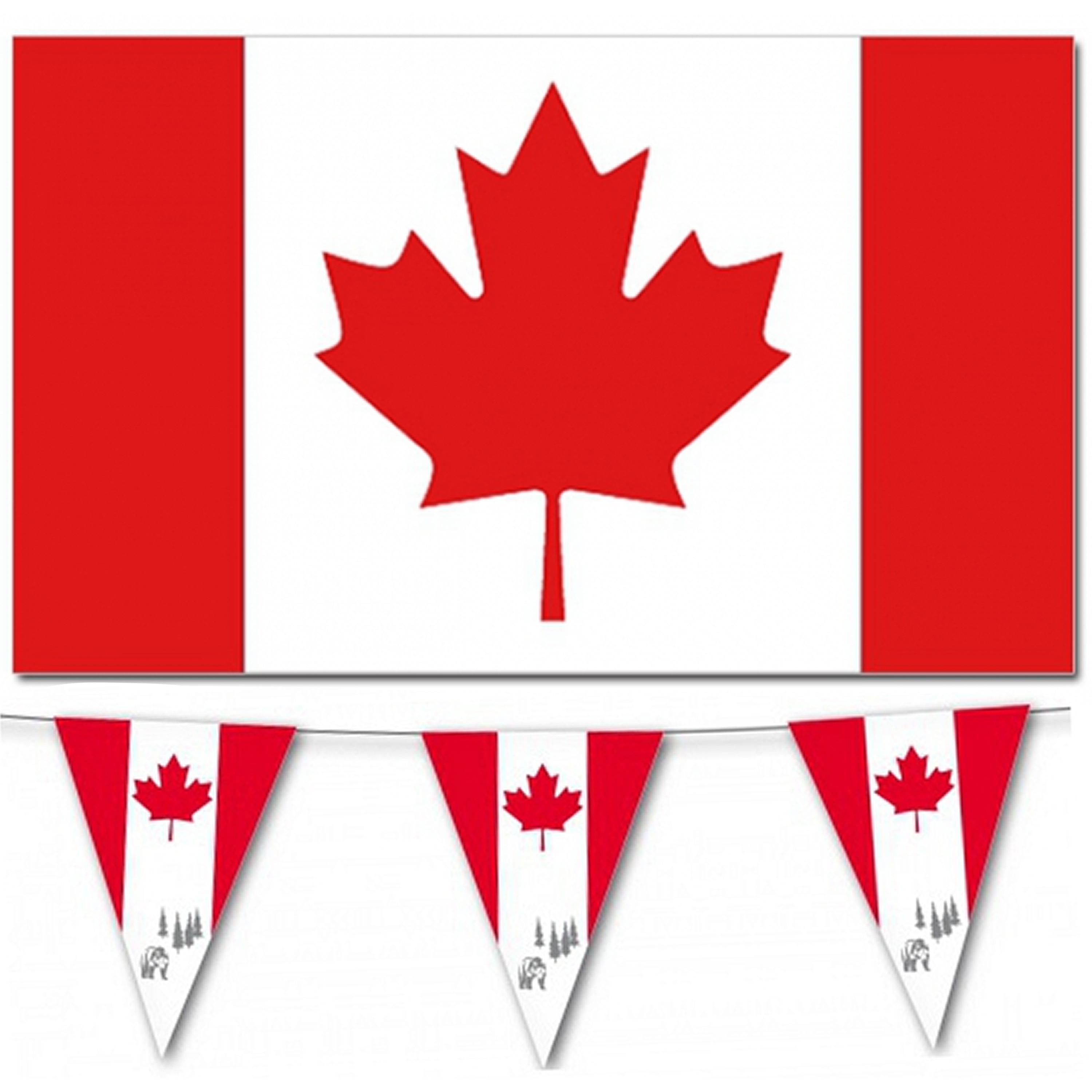 Landen vlaggen versiering set Canada Vlag 90 x 150 cm en 2x vlaggenlijn 3.5 meter