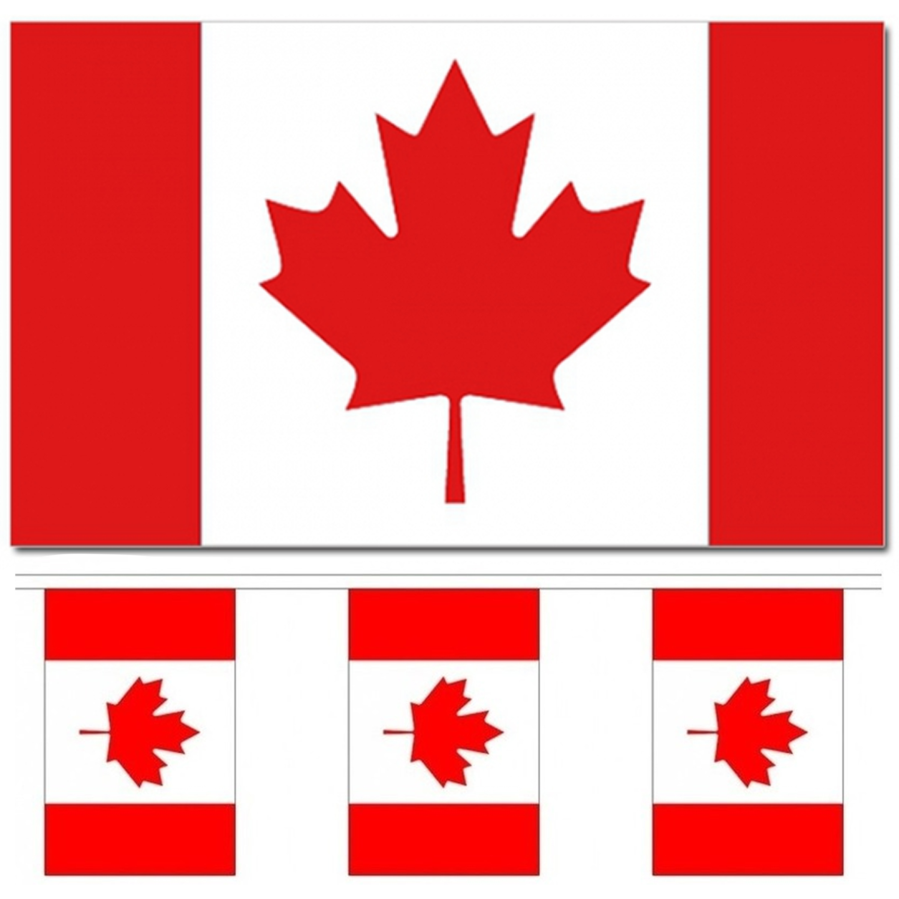 Landen vlaggen versiering set Canada Vlag 90 x 150 cm en vlaggenlijn 3 meter