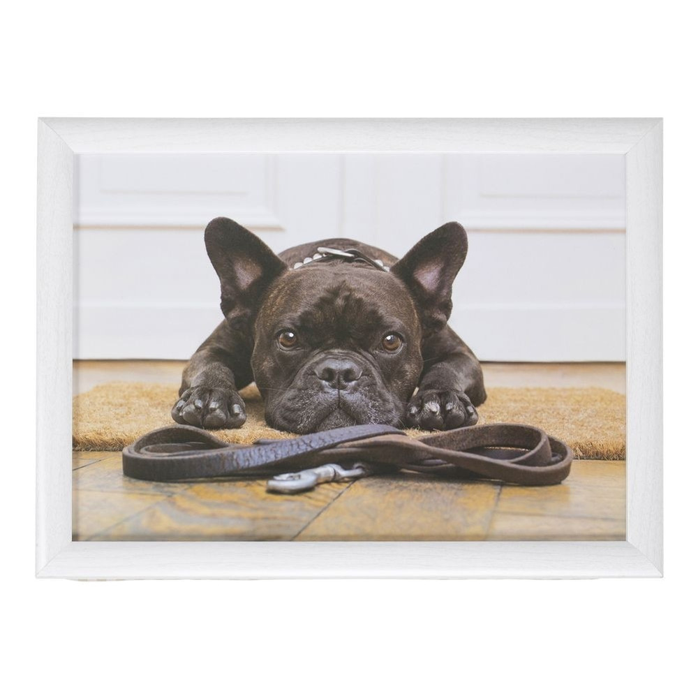 Laptray-schoottafel schattige Franse bulldog honden print 43 x 33 cm