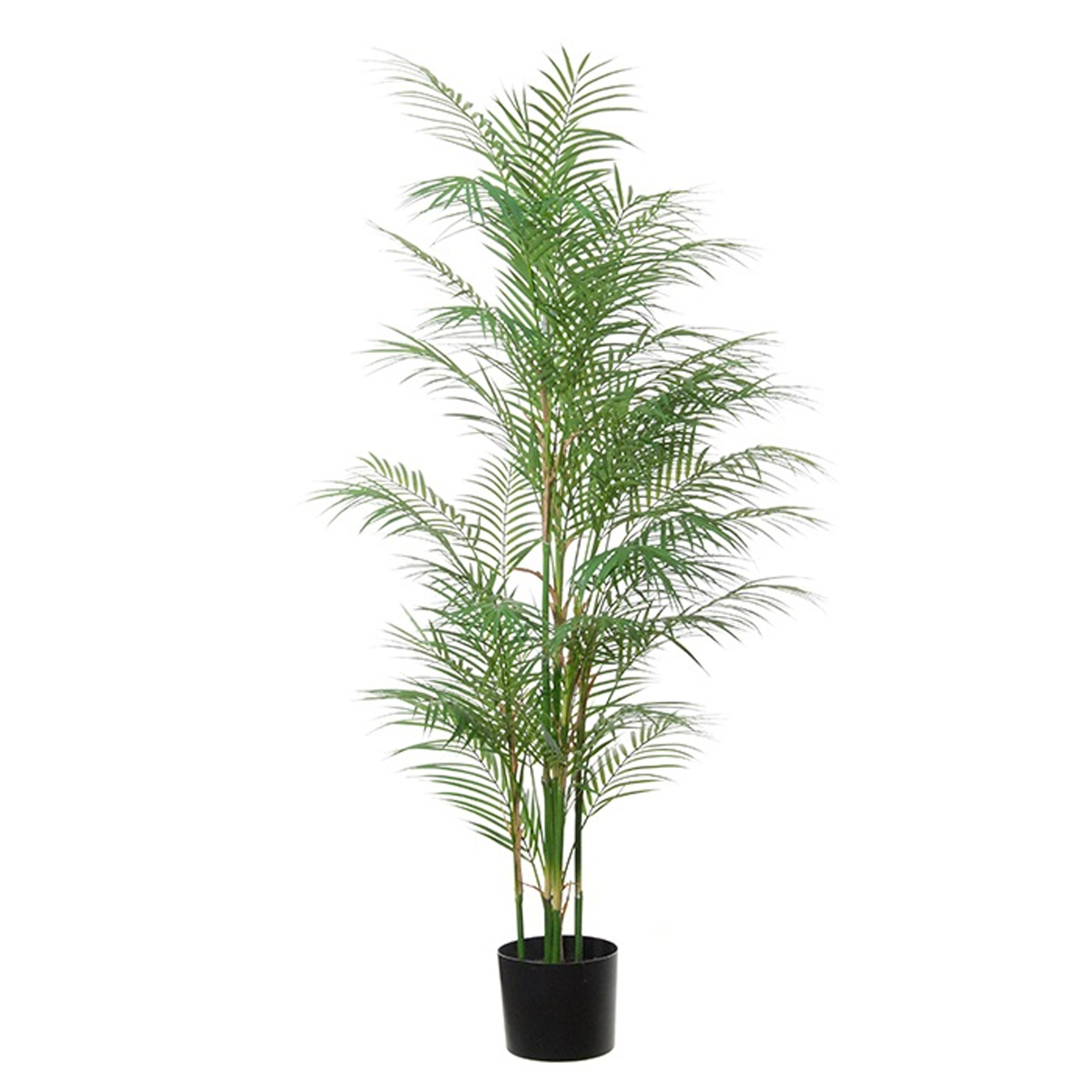 Louis Maes Areca? Palm kunstplant 145cm kunststof Goudpalm