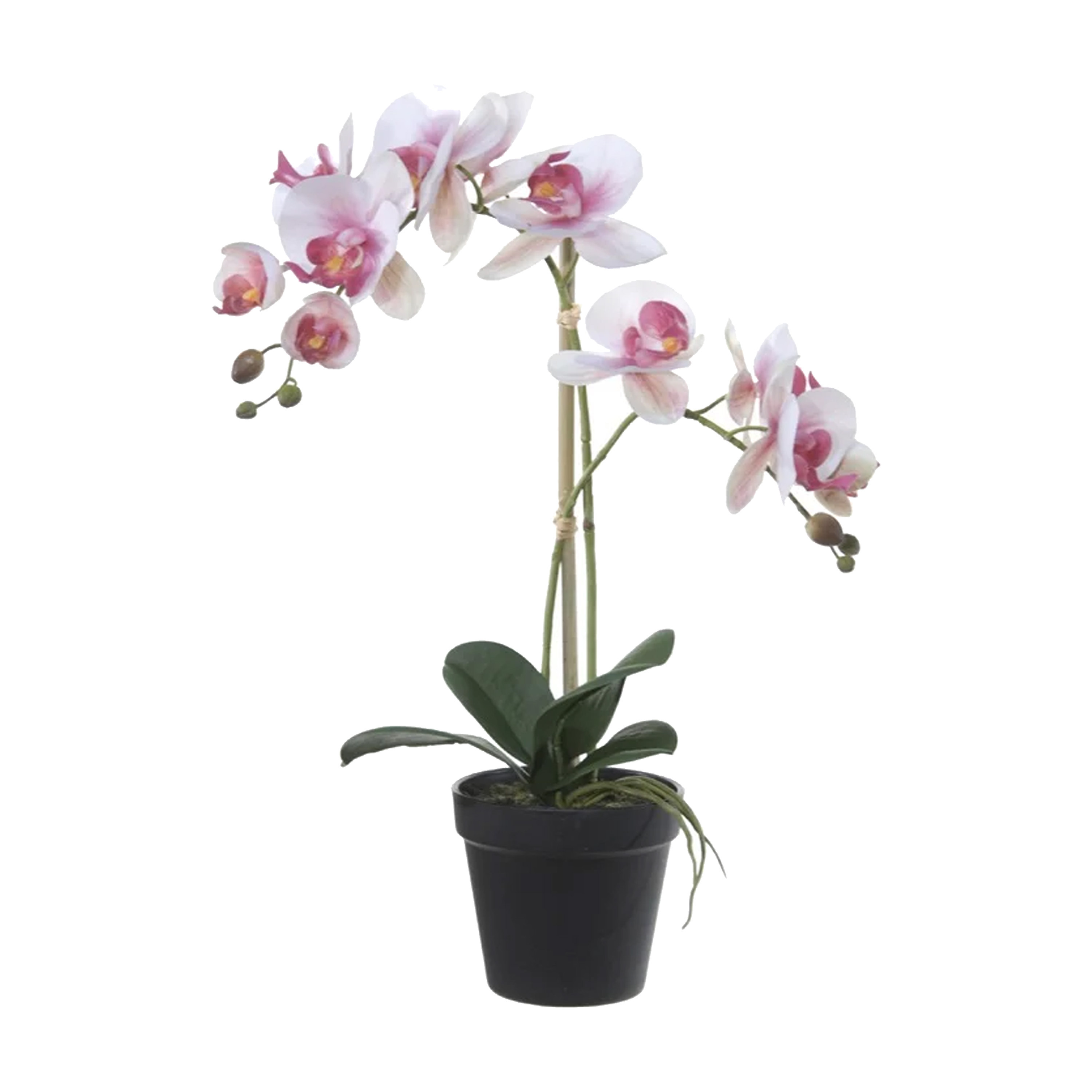 Louis Maes Orchidee bloemen kunstplant in pot bloemen-bloemetjes wit-roze-groen H52 cm