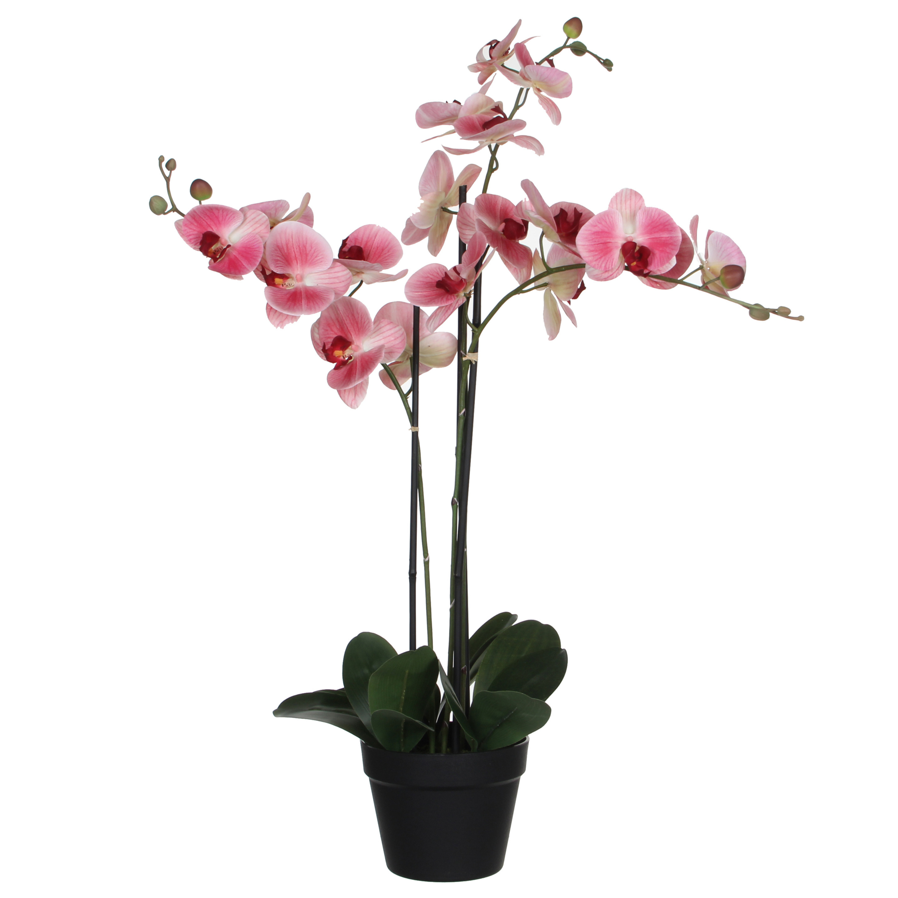 Mica Decorations Orchidee bloem kunstplant roze H75 x B50 cm?