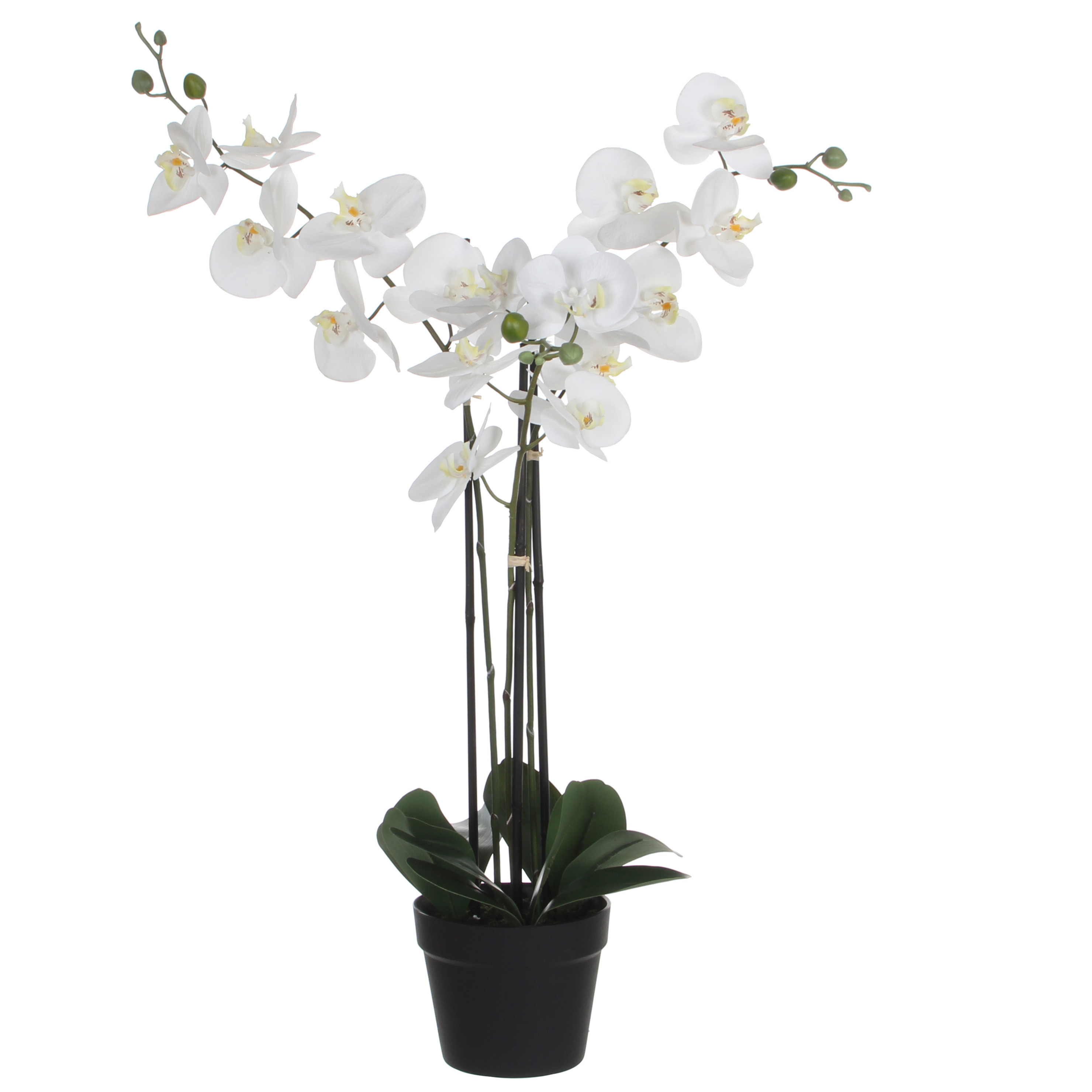 Mica Decorations Orchidee bloem kunstplant wit H75 x B50 cm