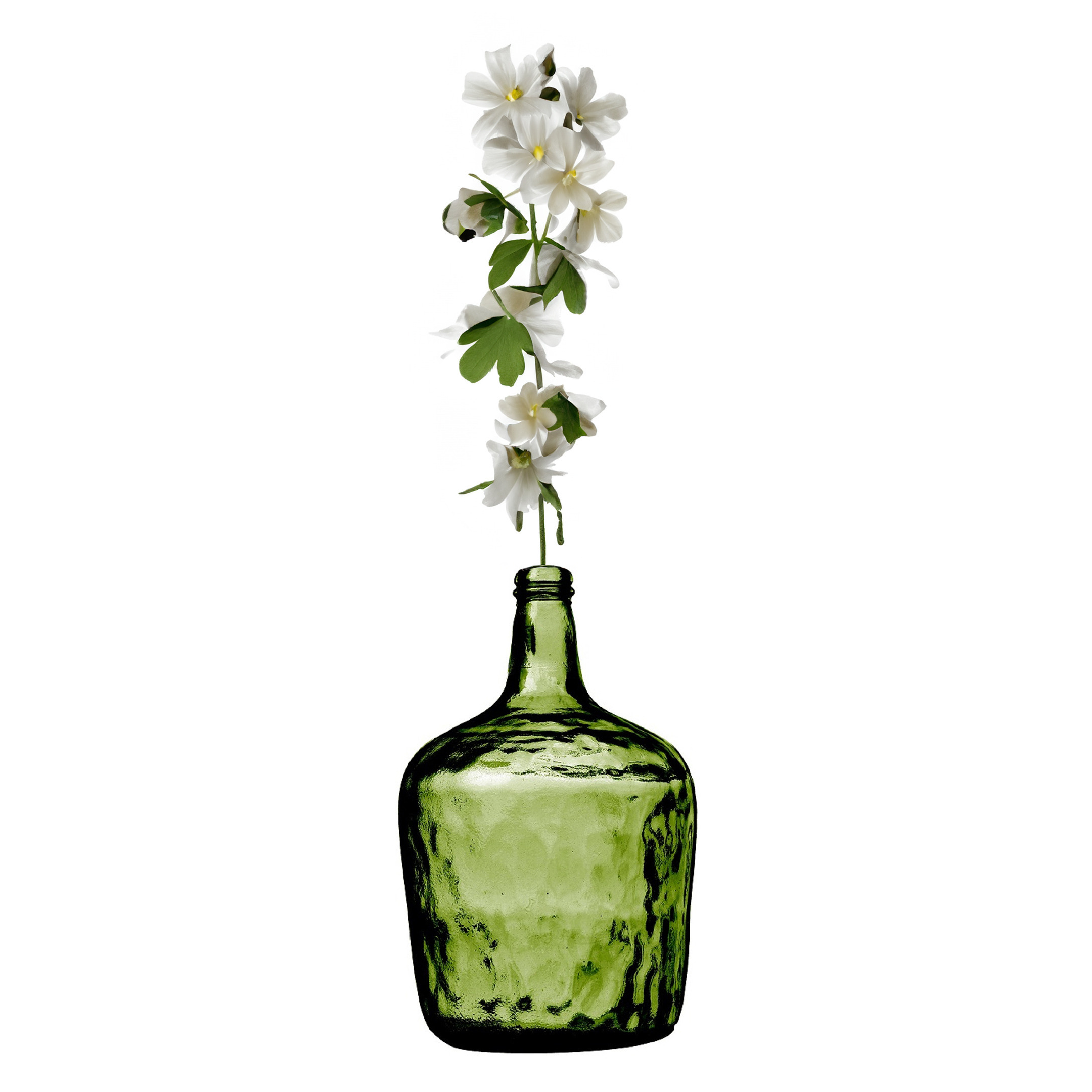 Natural Living Bloemenvaas Jeanne groen transparant gerecycled glas D25 x H40 cm Fles vazen