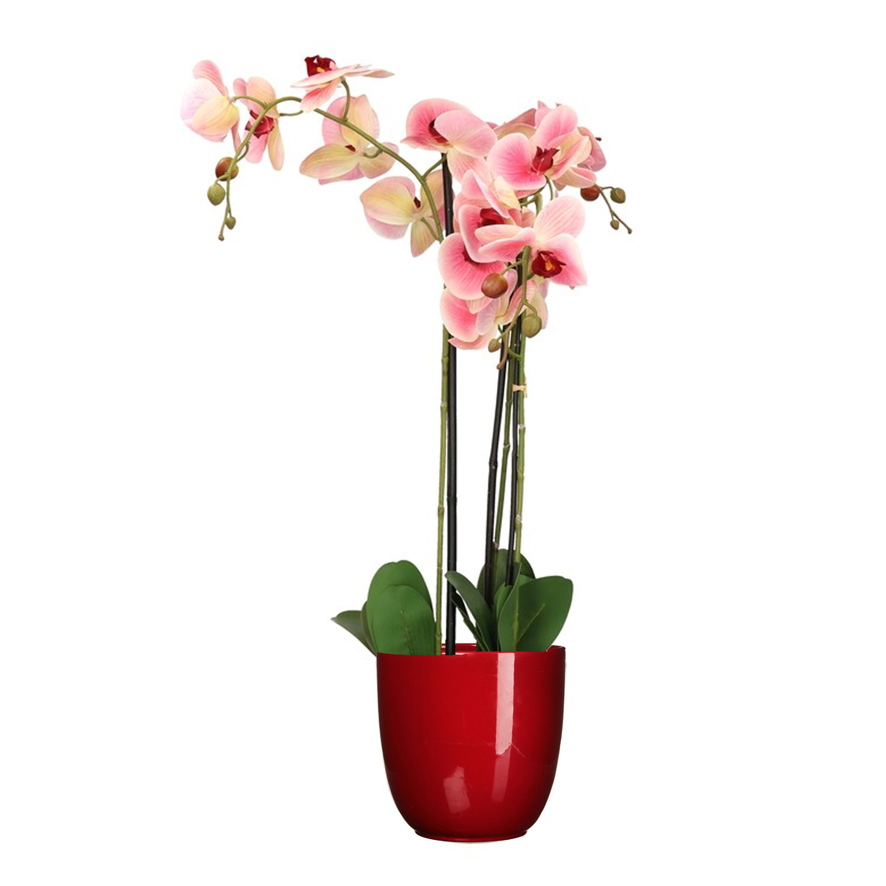 Orchidee kunstplant roze 75 cm inclusief bloempot rood glans
