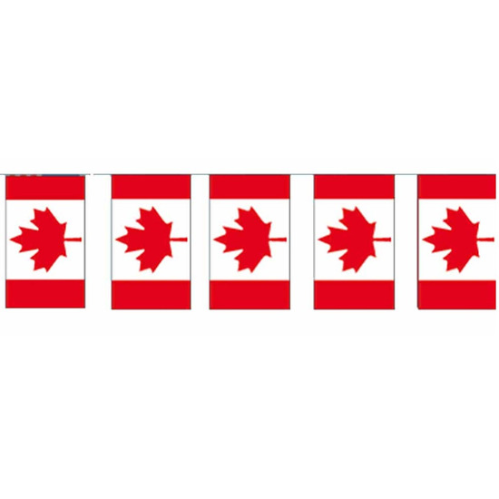 Papieren vlaggenlijn Canada landen decoratie