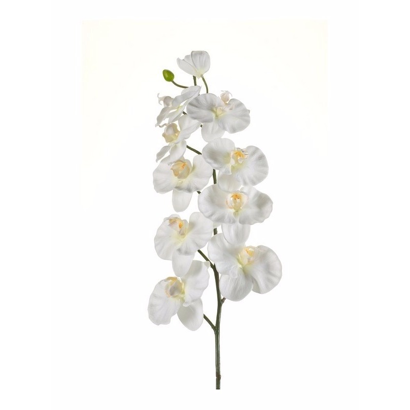 Phalaenopsis kunst tak 100 cm wit
