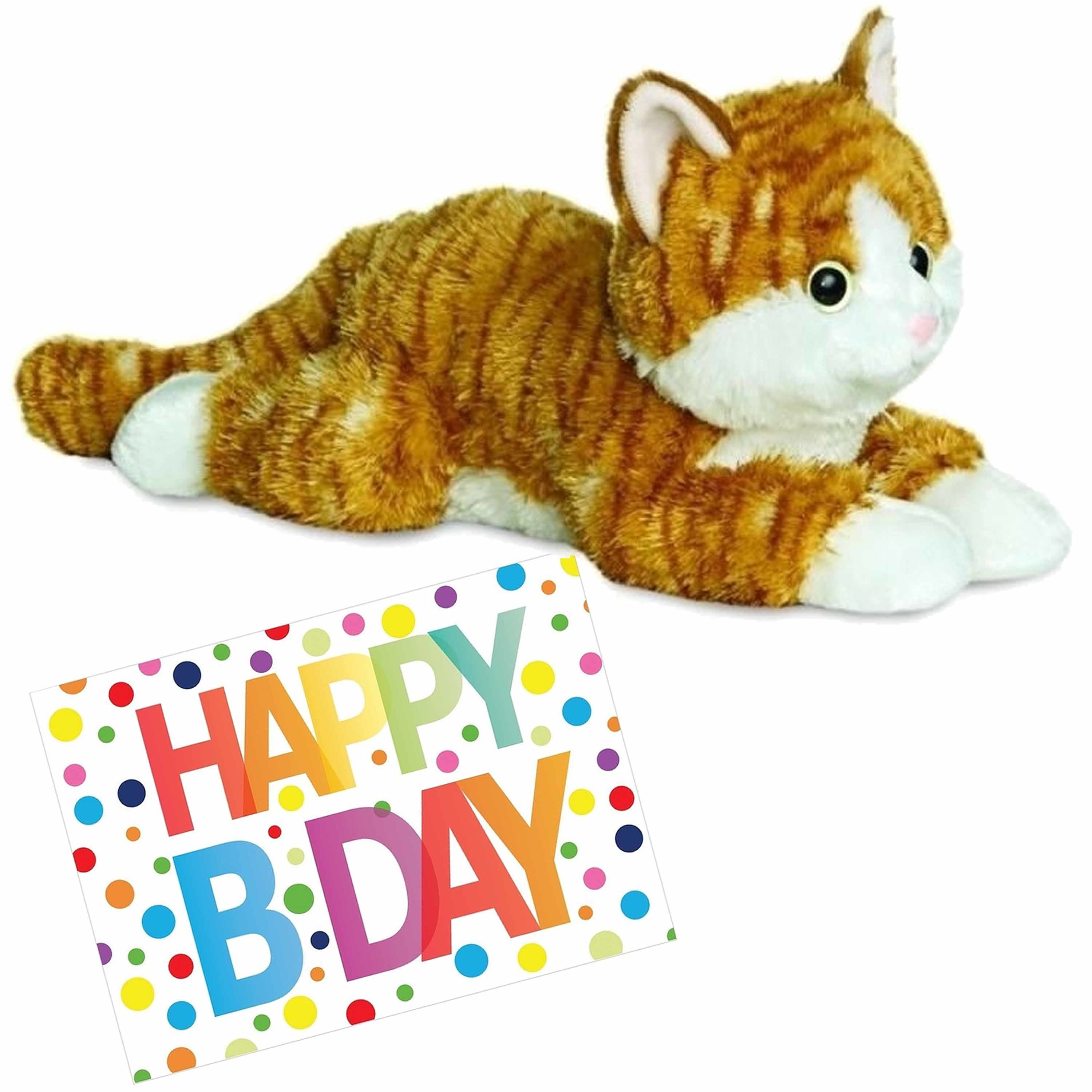 Pluche knuffel kat-poes rood 30 cm met A5-size Happy Birthday wenskaart
