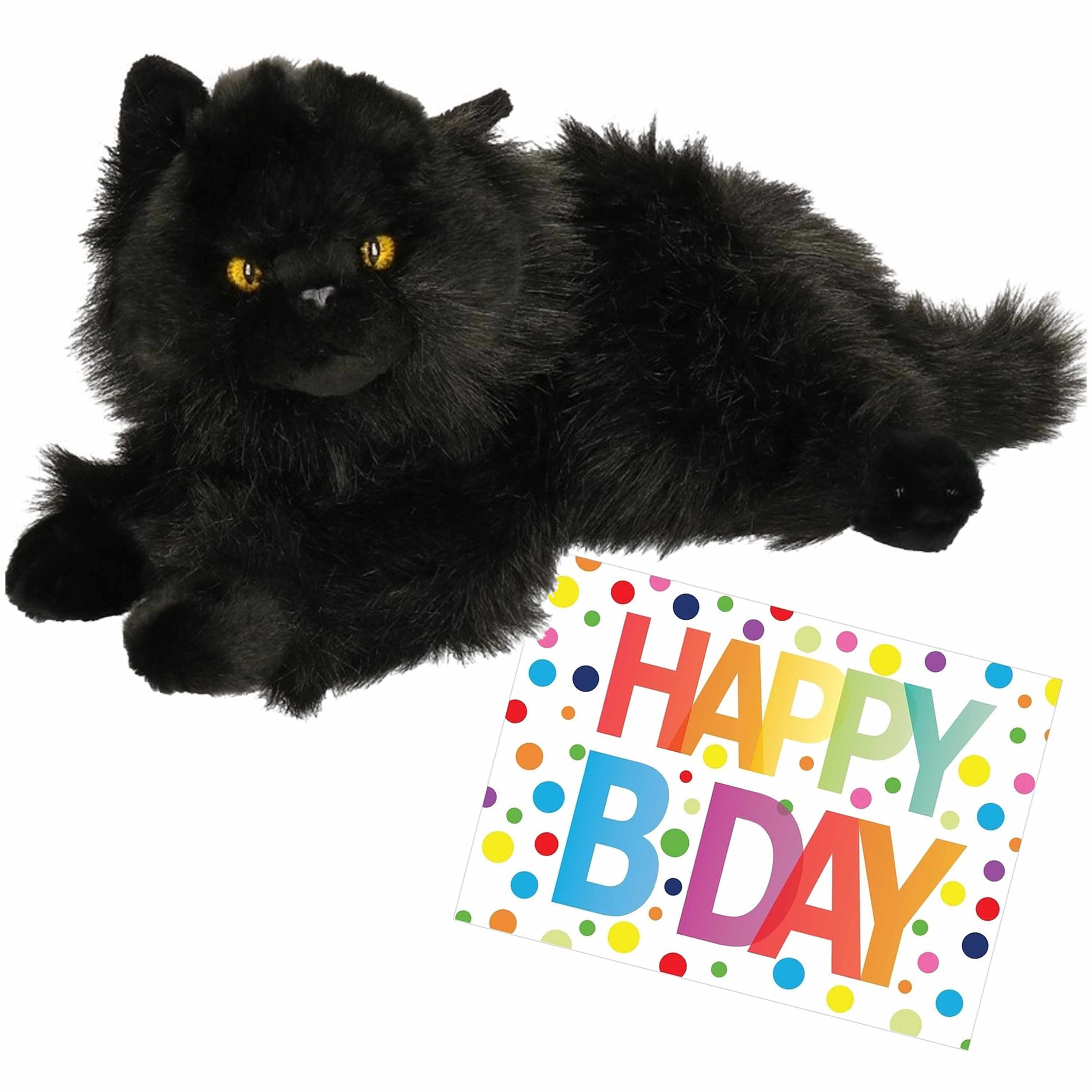 Pluche knuffel kat-poes zwart 30 cm met A5-size Happy Birthday wenskaart