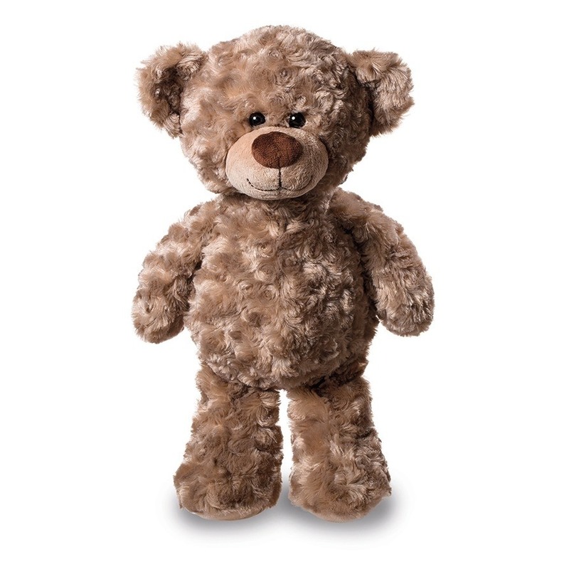 Pluche teddybeer-beren knuffel 24 cm