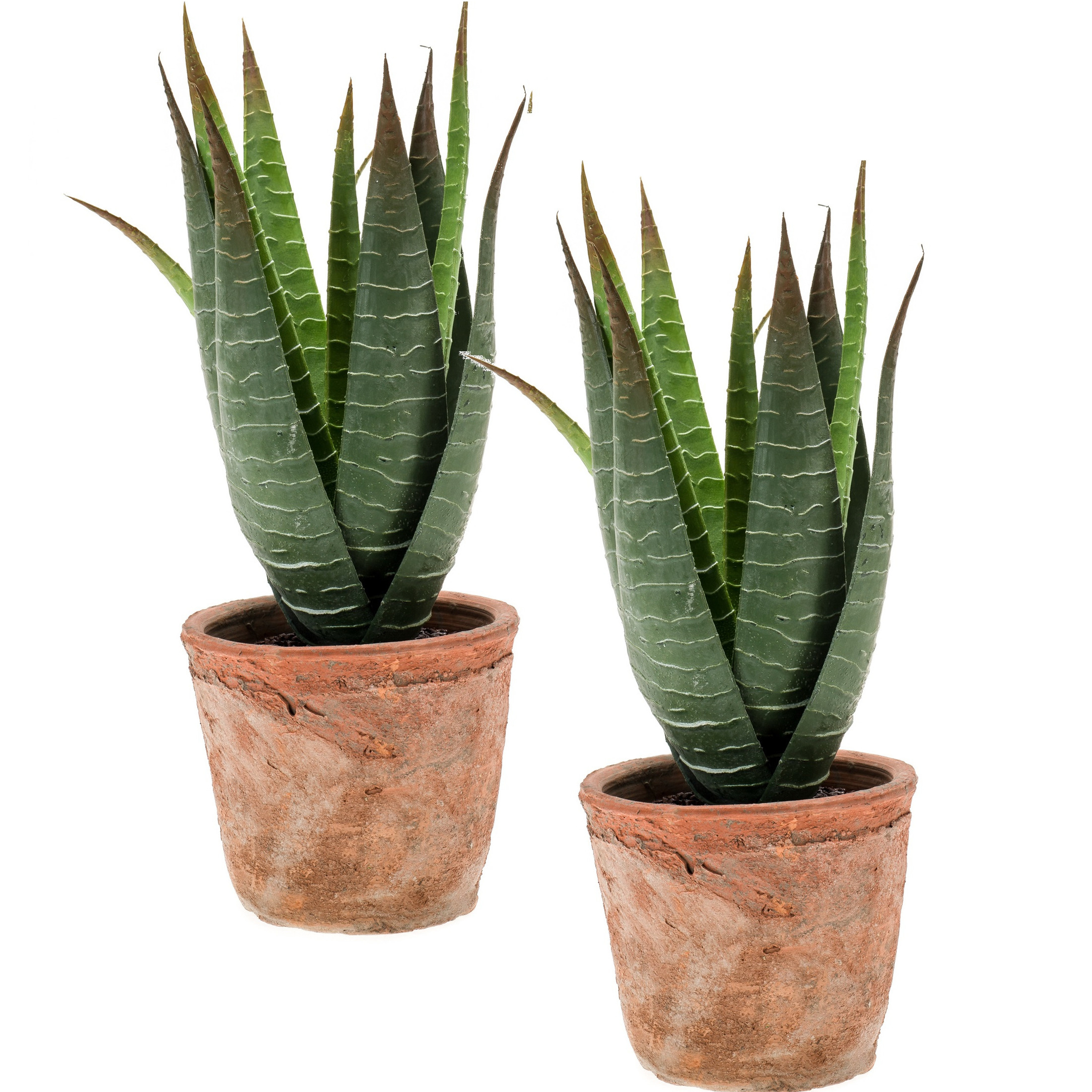 Set van 2x stuks Aloe Vera kunstplanten in terracotta pot 23 cm