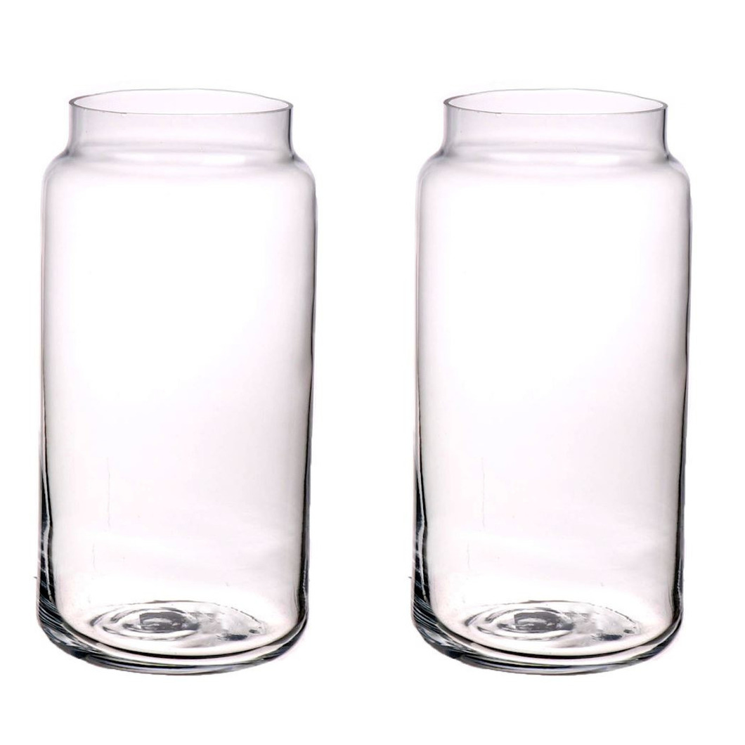 Set van 2x stuks glazen cilinder vazen transparant klein 20 x 10 cm