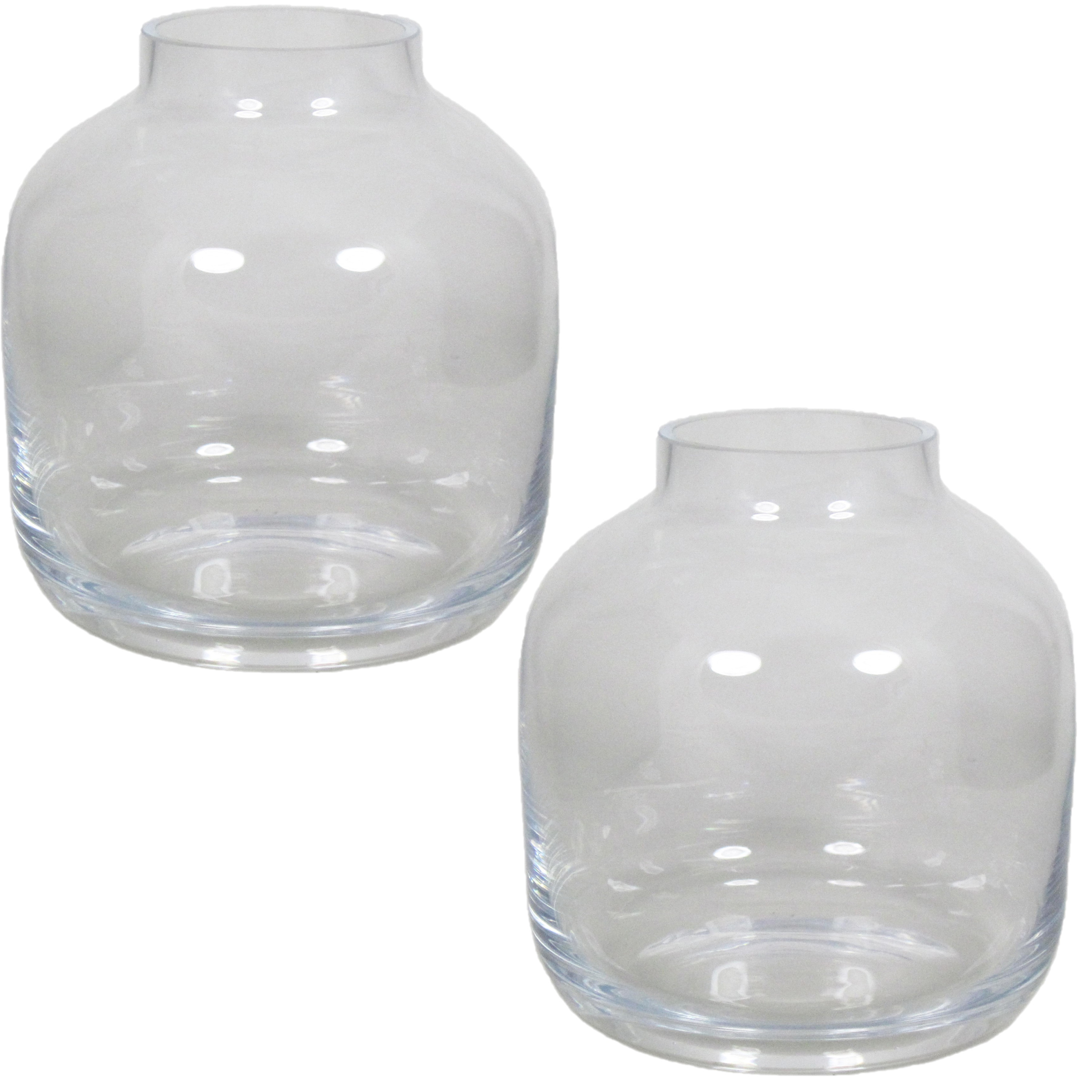 Set van 2x stuks glazen vaas-vazen Mensa 6,5 liter smalle hals 19 x 21 cm