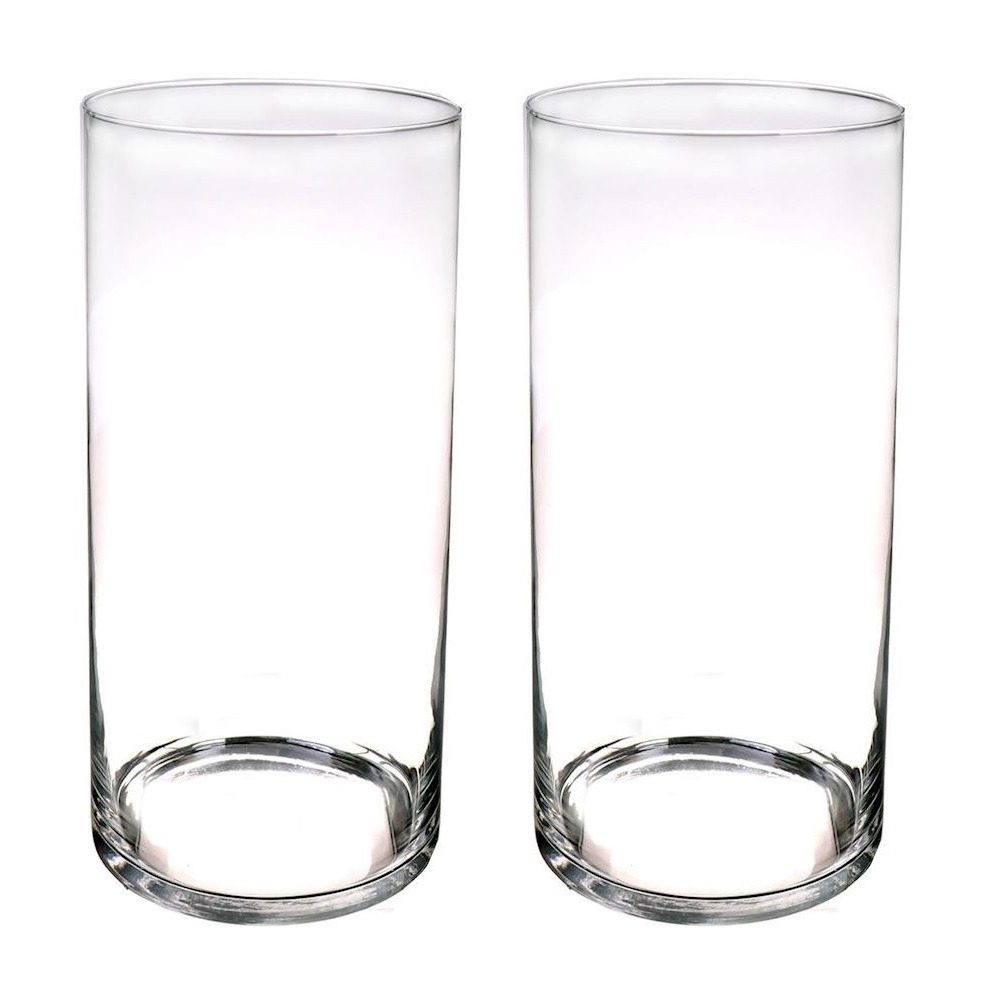 Set van 2x stuks glazen vaas-vazen transparant 60 x 19 cm