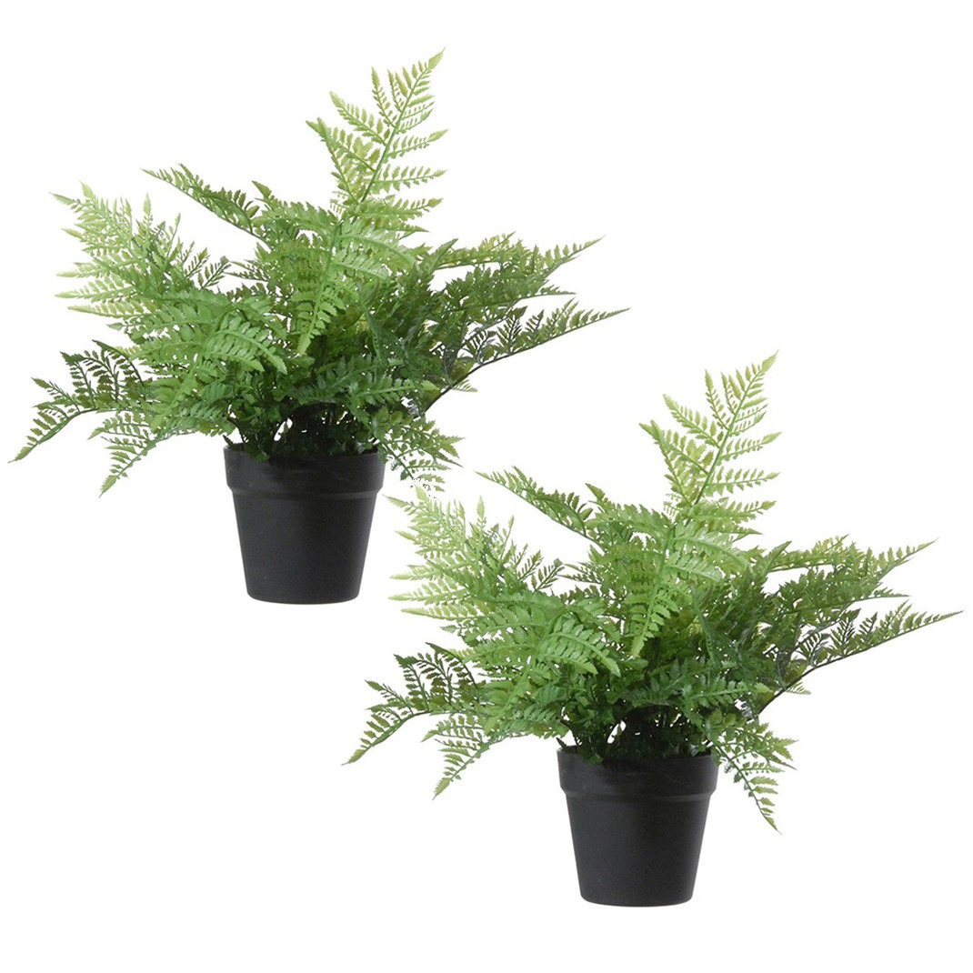 Set van 2x stuks groene bosvaren Dryopteris Remota kunstplanten in zwarte kunststof pot 43 cm