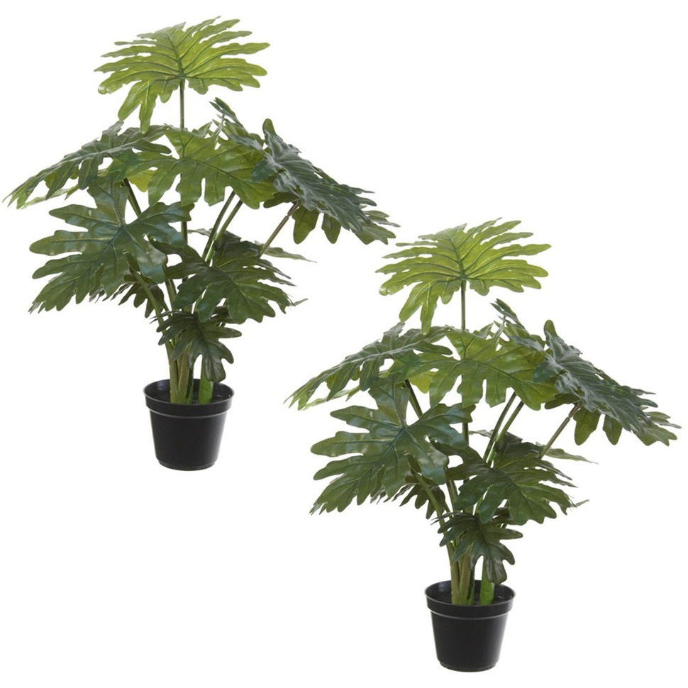 Set van 2x stuks groene gatenplant Philodendron Selloum kunstplanten in zwarte kunststof pot 55 cm