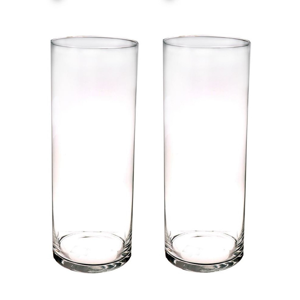 Set van 2x stuks hoge glazen vazen transparant 40 x 15 cm
