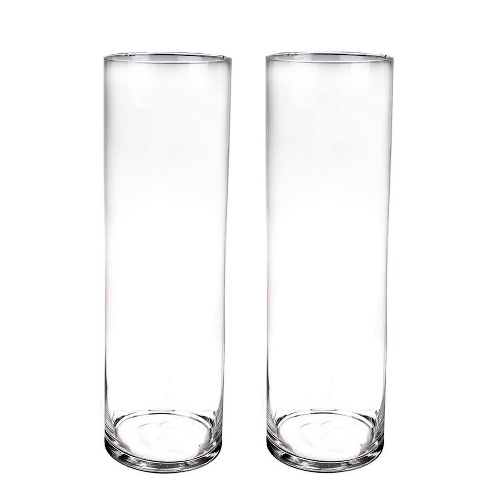 Set van 2x stuks hoge glazen vazen transparant 50 x 15 cm