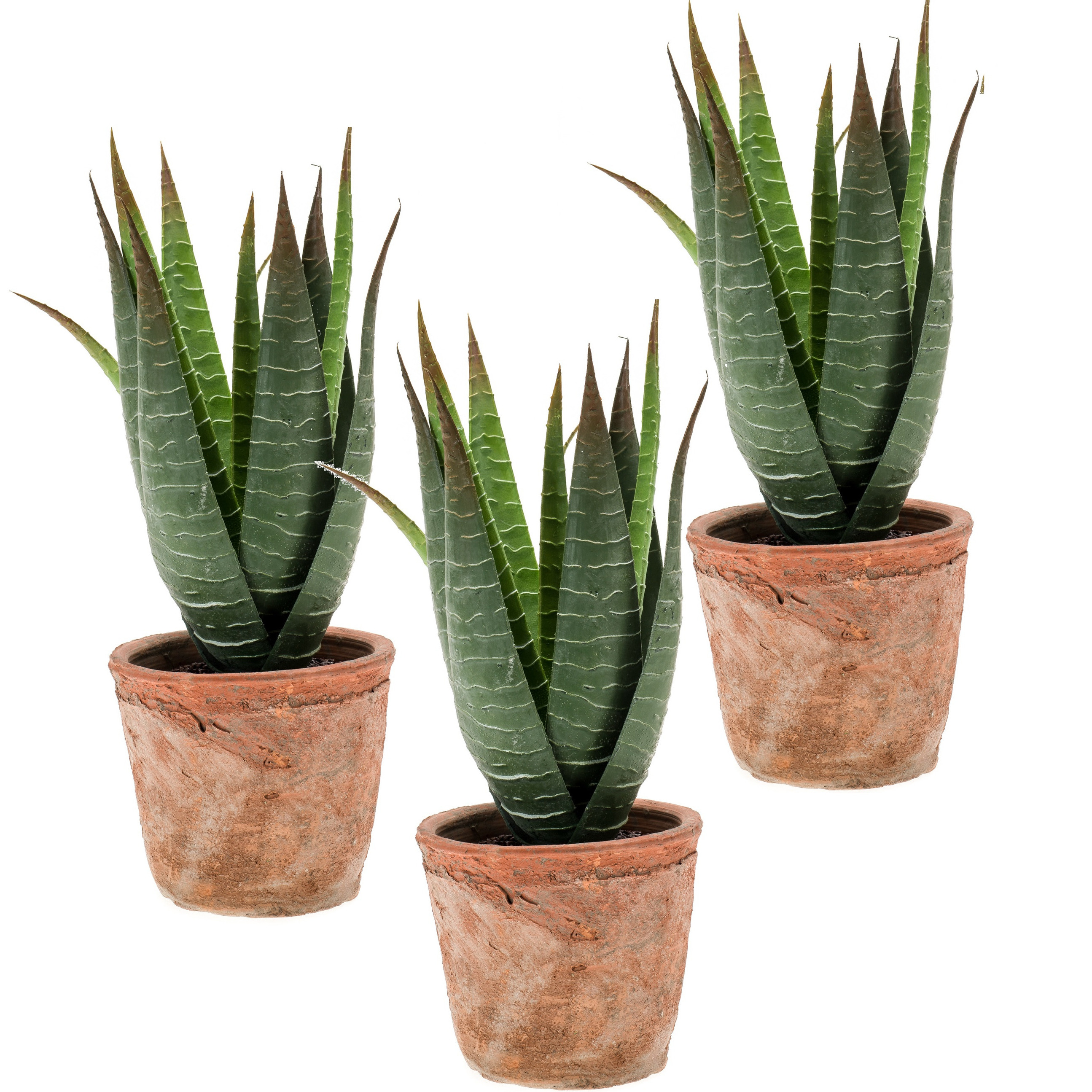 Set van 3x stuks Aloe Vera kunstplanten in terracotta pot 23 cm