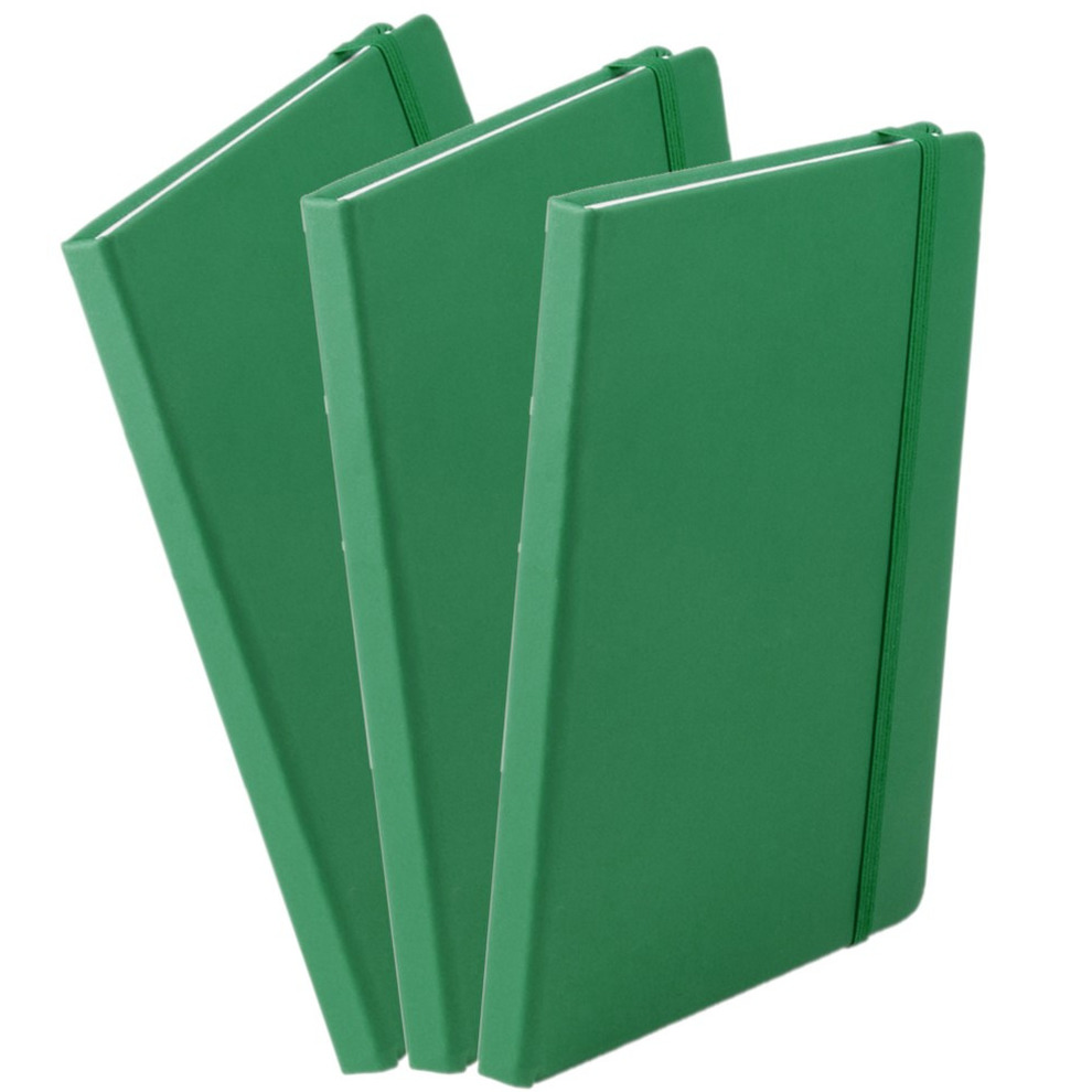 Set van 3x stuks luxe schriftjes-notitieboekjes groen met elastiek A5 formaat