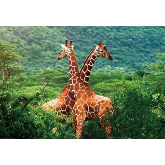 Set van 6x stuks placemat giraffe 3D 28 x 44 cm