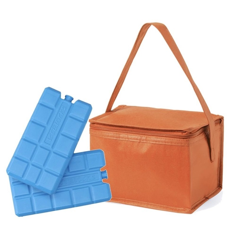 Strand sixpack mini koeltasje oranje inclusief 2 koelelementen
