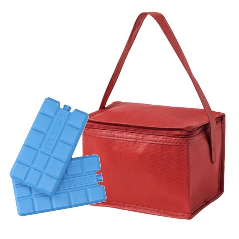 Strand sixpack mini koeltasje rood inclusief 2 koelelementen