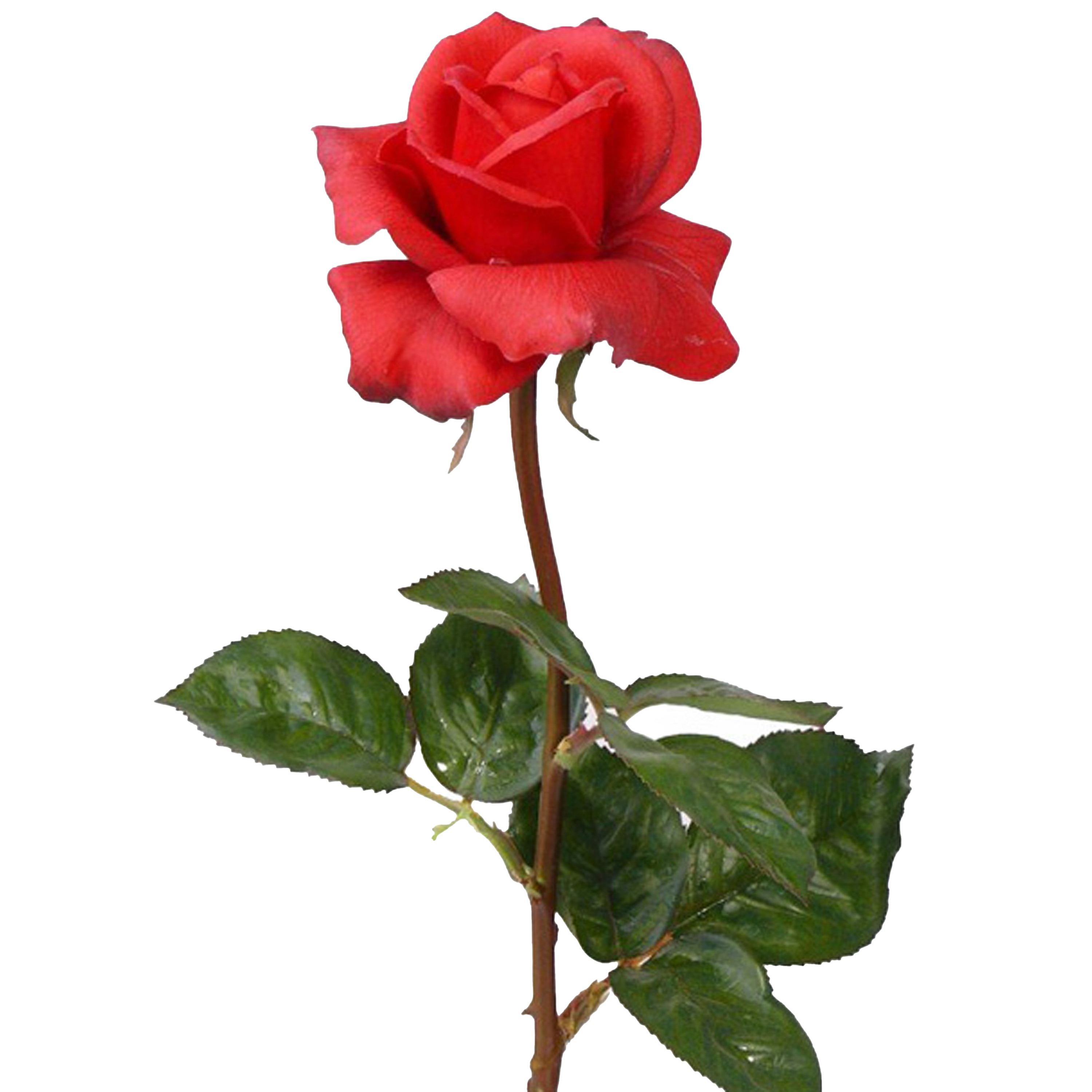 Top Art Kunstbloem roos Caroline rood 70 cm zijde kunststof steel decoratie bloemen