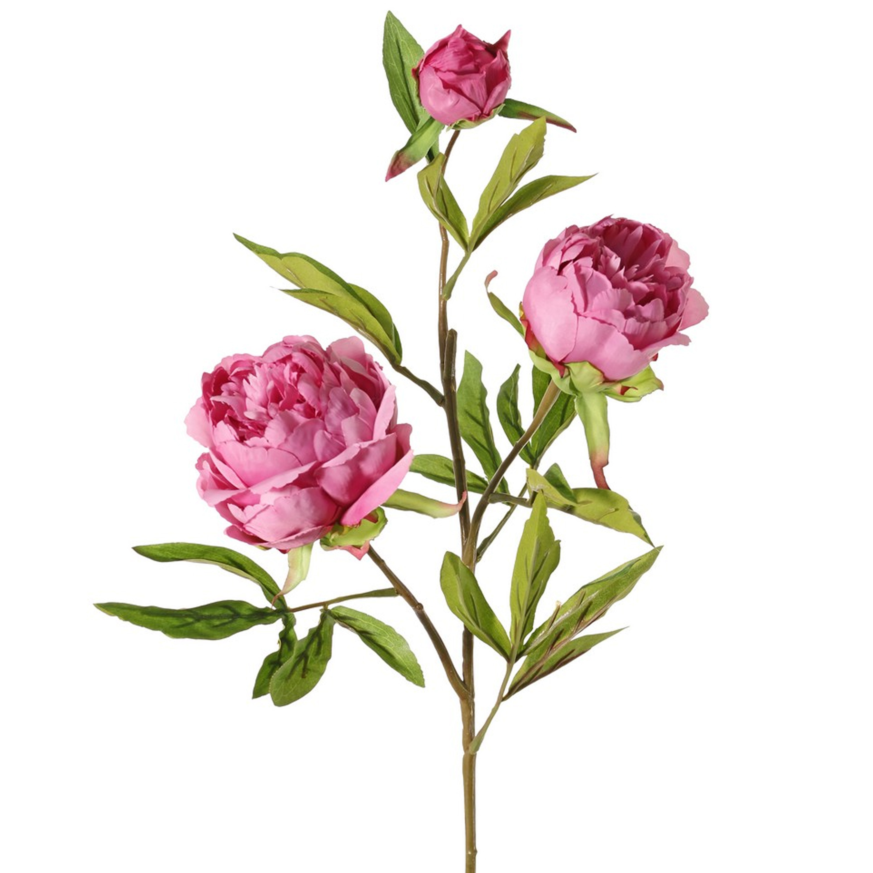 Topart Kunstbloem pioenroos Spring Dream roze 73 cm kunststof