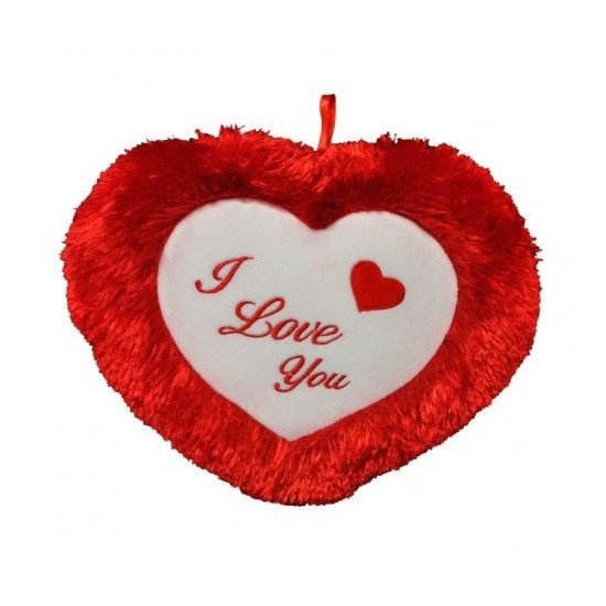 Valentijn kussen kado I Love You 45 cm