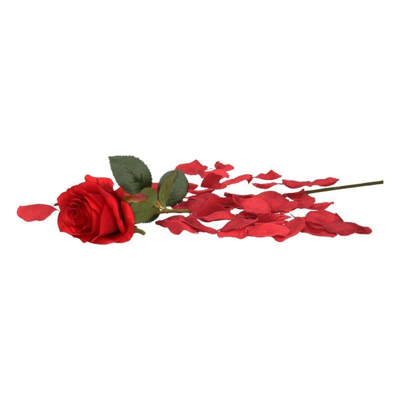 Valentijn rode kunstroos cadeau met bordeaux rozenblaadjes
