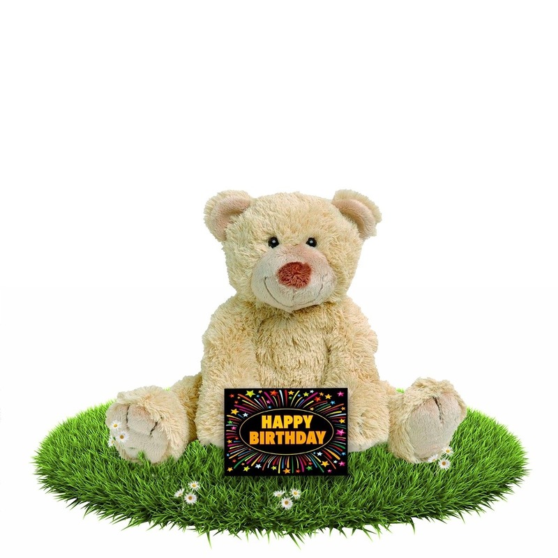 Verjaardagcadeau beren knuffel beige 35 cm + gratis verjaardagskaart