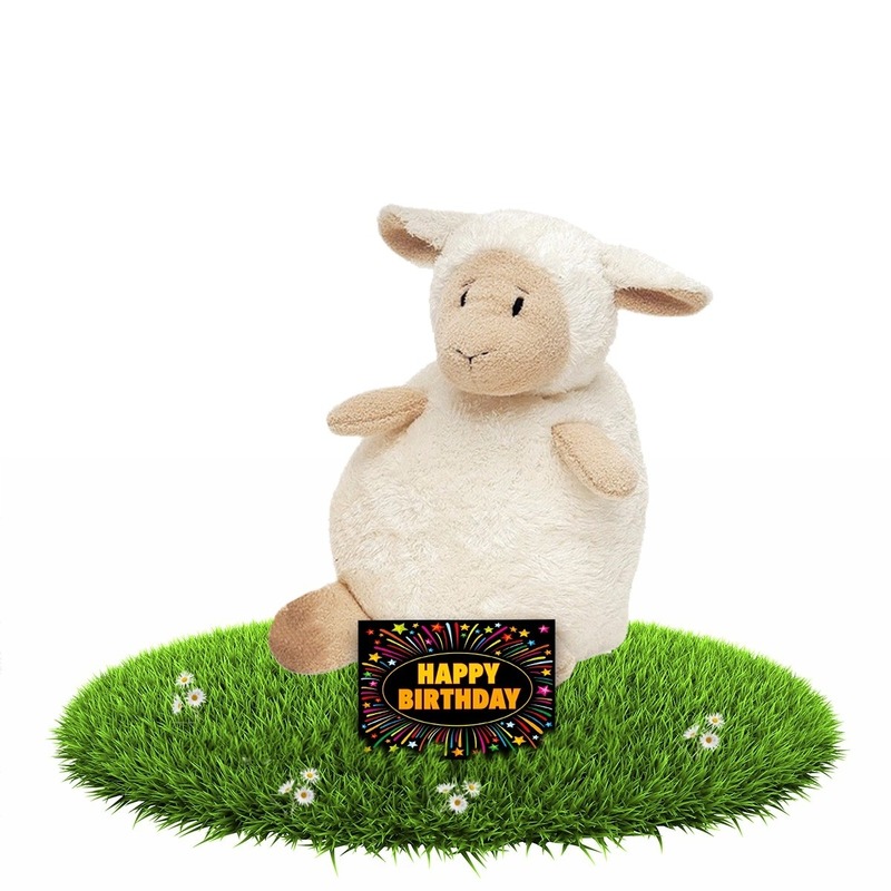 Verjaardagcadeau schapen knuffel beige 16 cm + gratis verjaardagskaart
