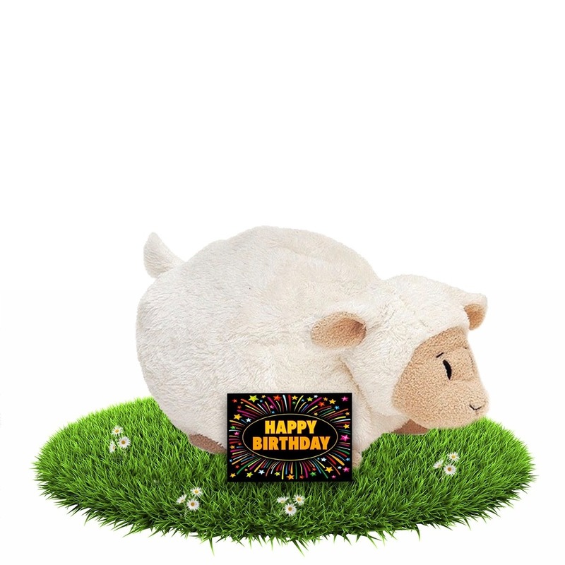 Verjaardagcadeau schapen knuffel beige 26 cm + gratis verjaardagskaart