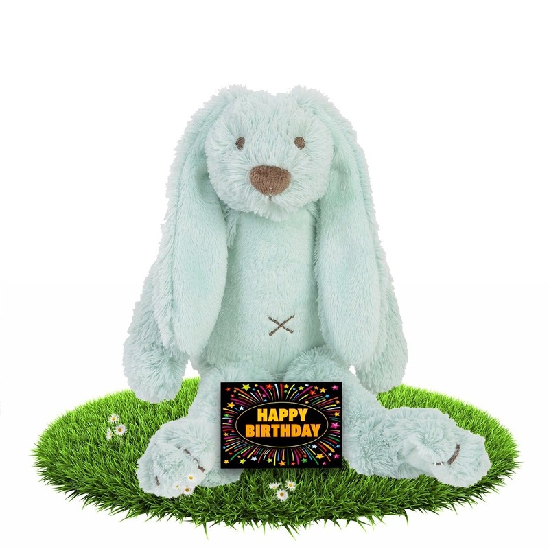 Verjaardagscadeau knuffel konijn-haas mint 28 cm met gratis wenskaart