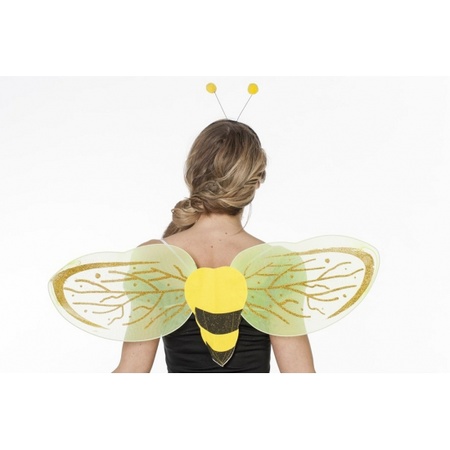 Bijen vleugels met tiara kind