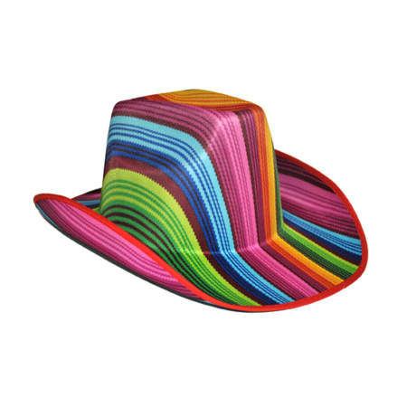 Colored striped cowboy hat