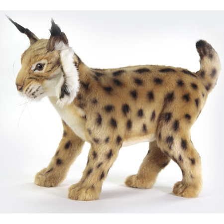 Soft plush brown Lynx 35 cm