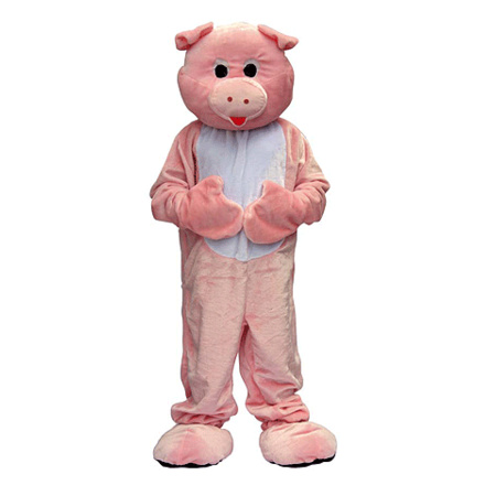 Pig costume 