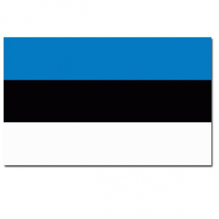 Estlandse vlag goed kwaliteit
