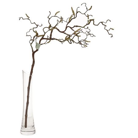 Bellatio flowers & plants Paastakken - kronkelhazelaar - kunststof - 66 cm - paasdecoratie