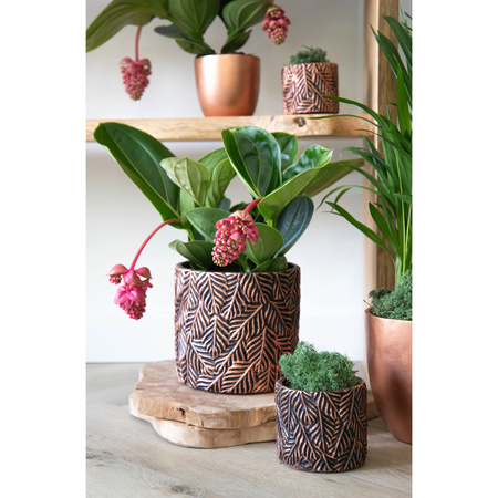 Mega Collections Plantenpot - 4x - keramiek - antraciet grijs/brons - D11 cm