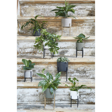 Goudkleurig ijzeren plantenkrukje/planten standaard Ascot 14 x 12 cm woonaccessoires/woondecoraties