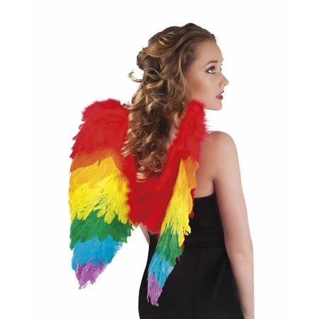 Regenboog verkleed vleugels voor volwassenen 50 cm