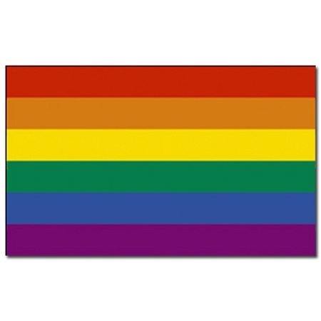Vlag met regenboog print