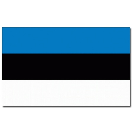 Gevelvlag/vlaggenmast vlag Estland 90 x 150 cm